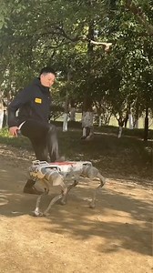 AI Robot Dogs #viralreels #fbreels #tfever #cricke #cricketlovers #reels #cricketnews #PakV #cricketfans #cricketlover | Hamza CH