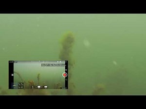 CHASING GLADIUS MINI UNDERWATER DRONE | Lake Exploration Copenhagen Denmark