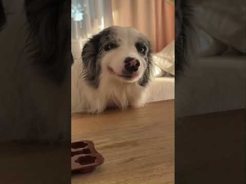 Walk Together Ricardo Rojas Antonia Baeza 002D