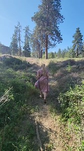 2.2M views · 66K reactions | Milking My Dairy Goats on a Sunny Thursday Morning #pnw #farmlifeusa #americanhomestead | Mountain Spring Homestead | Facebook