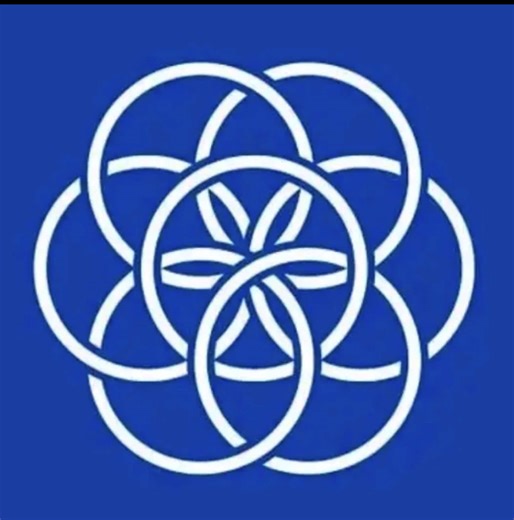 Exploring the Features of Digital Cameras