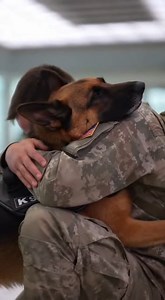 Some reunions are quiet. This one came with flying paws, spinning tails, and uncontrollable laughter | Captain Ray's Tales