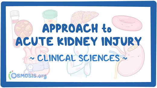 Approach to acute kidney injury: Video & Meaning | Osmosis