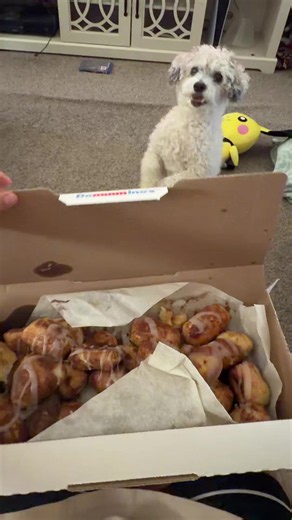 Domino's Cinna Bites Review