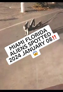 Terrifying moments about aliens #alien #hmainh #fancy | UFO World