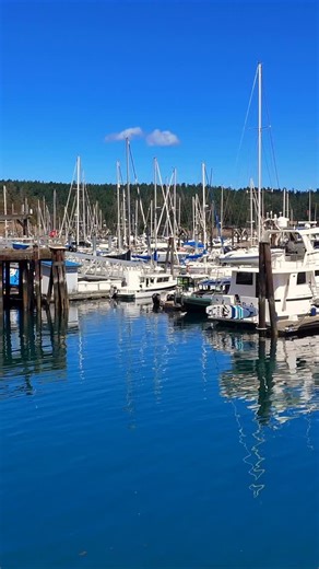 35 reactions · 13 shares |  Bristol Bay Sockeye Fishermen Shift...