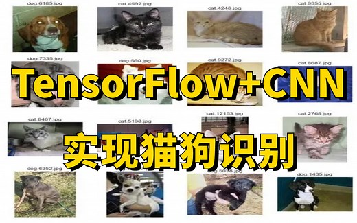 毕设有救了！手把手带你基于TensorFlow CNN实现猫狗识别，原理详解 项目实战，看完就能跑通！