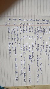 O\& what autotrophsis Define enzymes?aa write the Fuctions of... | Filo