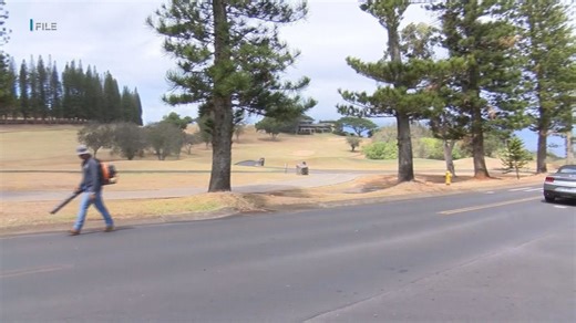 Kapalua golf course plagued by dry conditions set to reopen