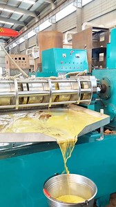 Four-level pressing, spiral hot pressing machine #oilpressing #oilpress #oilpressmachine | Oil press factory