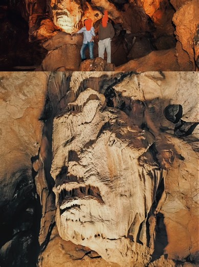 Exploring the Hidden World of Petrified Giants