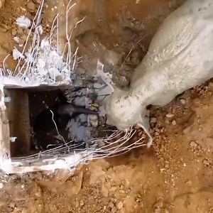 21K views · 510 reactions | A baby elephant plunged into an 8ft deep water-filled hole!  | MetDaan Animals | Facebook