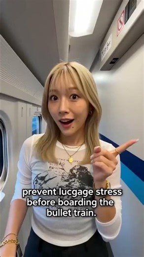 Shinkansen Oversize Luggage Rule