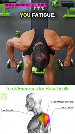 ✔️ The PERFECT Rear Delt Sequence (3 Steps!)