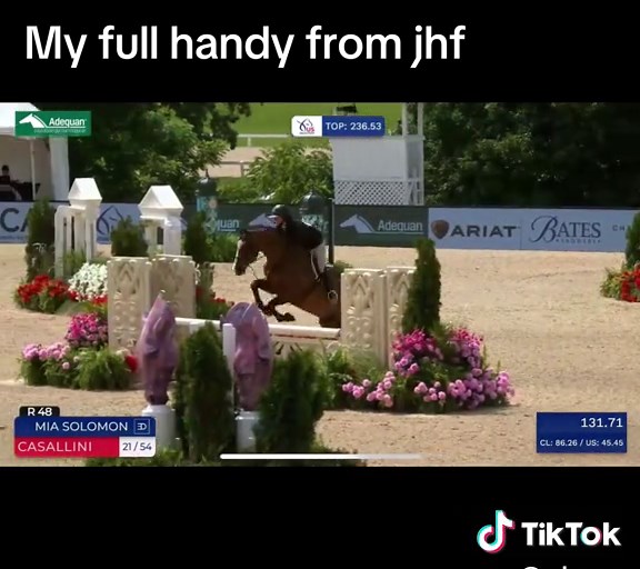 Noodle is so perfect. A few small mistakes but horse of a lifetime💕💕