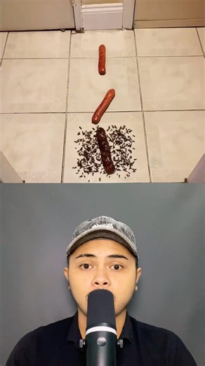 Ant Army on a Mission ‼️ #funnyshorts #funny #shorts