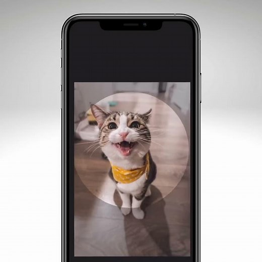 How to change your profile picture in Curious Cat