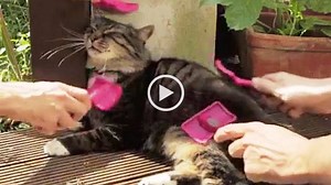 Recruiting volunteers takes time. VolunteerMatch Premium is here to help. Learn how our tools make it easy for good people and good causes to connect: https://t.co/PhH6KPBBkw #VolMgmt | VolunteerMatch, Powered by Idealist