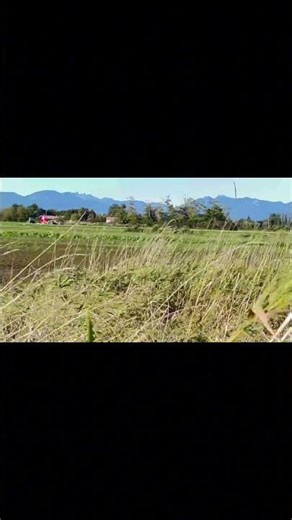 Wow, Stunning River Views with Mount Baker⛵🌄