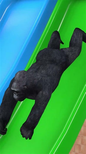 Funny 😁 Fountain Slide 🛝 #3danimation #3d #animation #cartoon #3danimals #funnyshorts