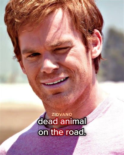 Dexter Finds Raccoon 🤯 | Dexter | #shorts