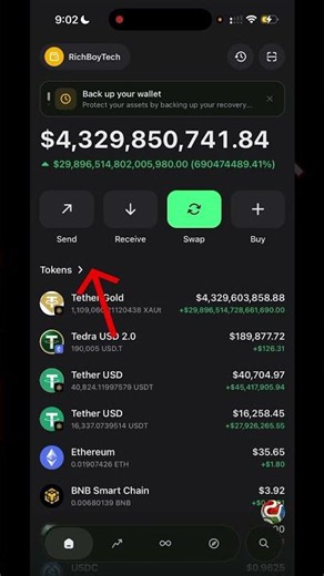 How to Fix Coins Not Displaying in Your Crypto Wallet,