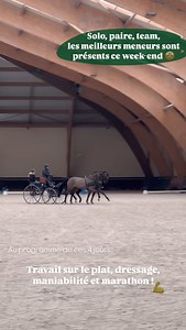 FFE - Fédération Française d'Equitation on Reels