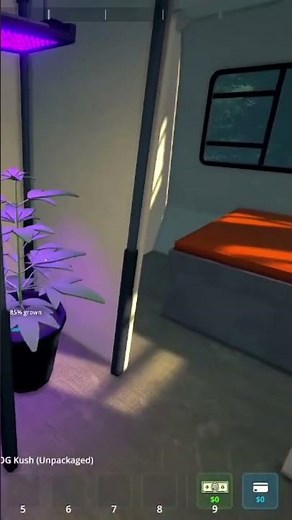 Growing OG Kush: From Seed to Harvest in a Secret RV Room!