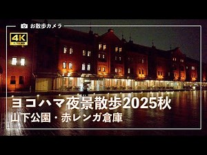 雨のヨコハマ 夜景散歩 2025秋