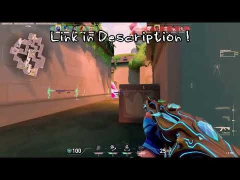 Best free undetected cheat for valorant