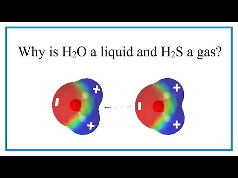 Why is H2O a liquid and H2S a gas?