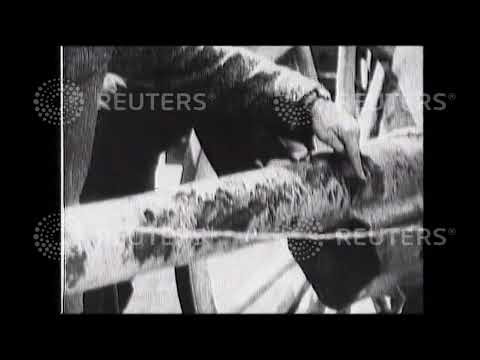 1915 Recaptured French cannon