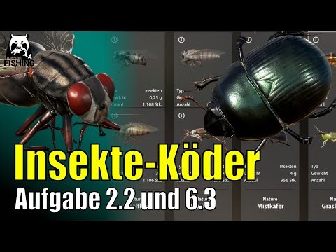Russian Fishing 4 - Windenbach / Lake Ladoga - Float and Insect Bait: Premium Task 2.2 and 6.3