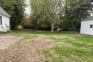 How to choose and when to apply grub control products for your lawn