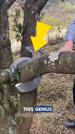 Hydraulic Tree Cutting Shears 🌳✂️