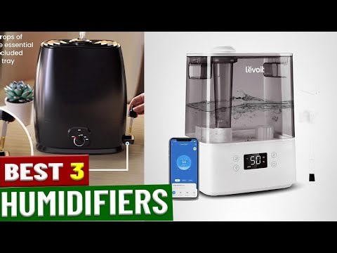 Top 5 Humidifiers in 2025