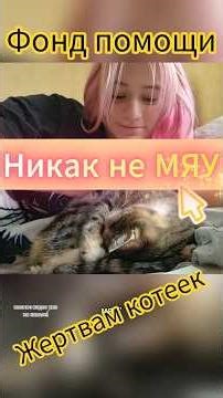 БЕСТИЯ-ЖАБКА ЧАСТЬ 1 #music #cats #pov