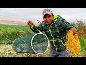 Trampa para Peces de Agua Dulce - fish trap