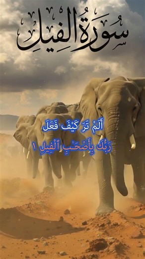 Surah Al-Fil سورۃ الفل | جب اللہ نے ہاتھیوں کی فوج کو تباہ کر دیا۔ ابابیل پرندے سے #qurantilawat