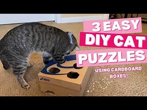 3 DIY Cat Puzzle Feeders