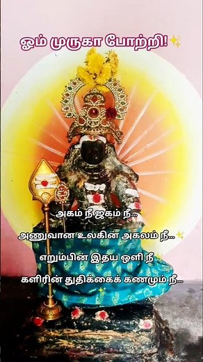 ஓம் முருகா போற்றி| #murugan #murugansong #muruga #murugansongs #ஓம்முருகா #முருகன்பாடல்கள் #முருகன்
