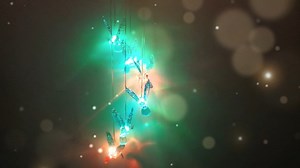 Watch zhengshizuo blue hummingbird on Amazon Live