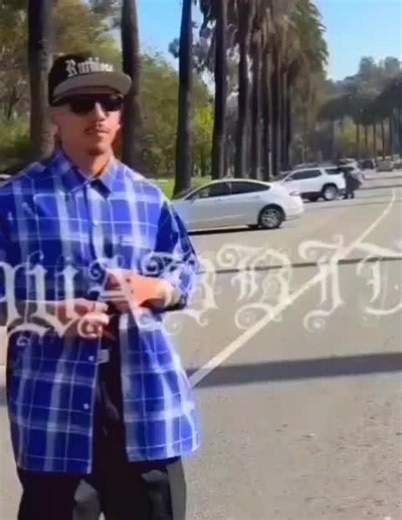 MR.WABBIT (@senor.wabbit)’s videos with original sound - MR.WABBIT