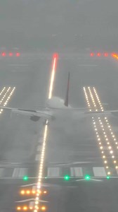 Delta 737 Braving Heavy Rain & Low Visibility 🌧️✈️ . . . . #Delta #B737 #Rain #Landing #aviationlovers #planespotting | Airsky