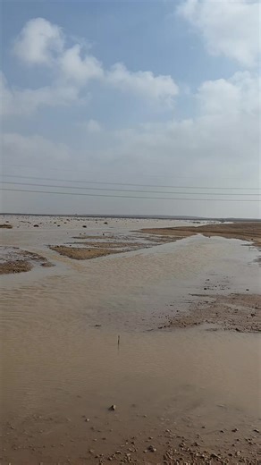 ‏@حمدان بن زياد @محمد حمادي