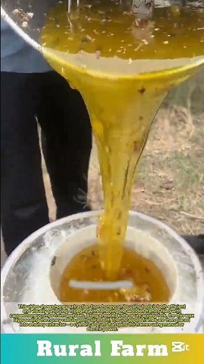Honey extraction from honeycombs using tools: efficient and visually satisfying