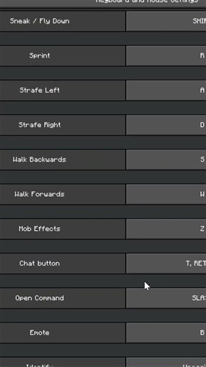 Minecraft Secret Feature You Missed 🤫