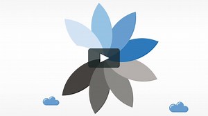 Video presentación Gemweb