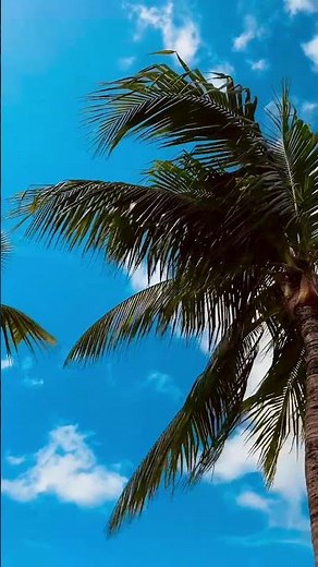 Royalton Hideaway Riviera Cancun: Adults-Only All-Inclusive for Slow, Meaningful Getaways