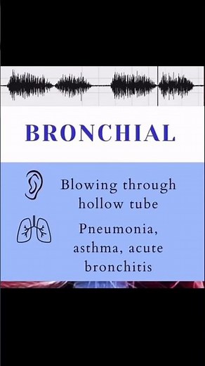 #BreathSounds #Auscultation #ClinicalSkills #MedicalEducation #MedStudent